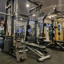 백프로짐 이미지