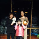 동아대 동광태권스쿨 이미지
