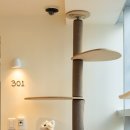 봄동살롱 이미지