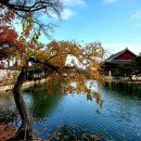 인생개획 이미지