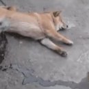 스테이 쉬온 이미지