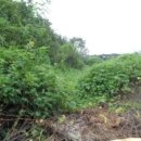 완산-111 이미지