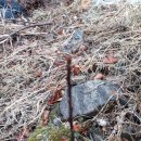 호랭이농장 이미지