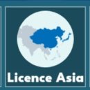 골드 캣 이미지