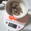 전주 먹보왕만두 모래내시장 맛집 순대1인분칼로리 순대간내장 칼로리