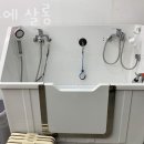 클로에 살롱 이미지