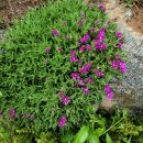 김천화장장 이미지