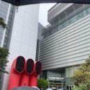 칸타빌레 바이올린 | 박보검의 칸타빌레 방청후기(25.04.25방송분) 투어스, 멜로망스, 루시, 이준영, 정은지 출연