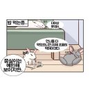 스터디카페 더_딩글 이미지