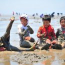 전라북도 고창군의 갯벌 유네스코 세계자연유산 등재 소식 및 전라북도 풍경 영상입니다 이미지