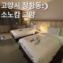 소노하이브 | [호텔리뷰]고양 호텔 소노캄고양 세븐틴 콜라보객실 내돈내산 솔직리뷰