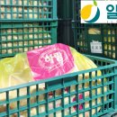 일승푸드 네이버블로그