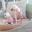 수노을동물병원 이미지