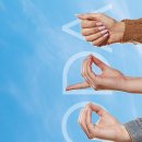 코다(CODA) 이미지