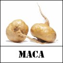 마카마카 카카오 검색결과