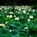 e-편한세상 이미지