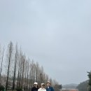 수 | 화성GC 후기 짧순이들의 성지가 아닐까..?
