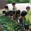 유원 유치원 이미지