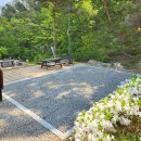 태학산자연휴양림오토캠핑장 네이버블로그