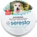 작은 친구 동물병원 이미지