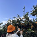 하영농장 이미지