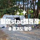 일영Star캠핑장 네이버블로그