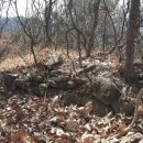 율곡면 대야로 이미지