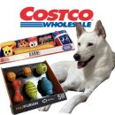 퍼피인더바스 | 코스트코 강아지 장난감 추천 세일 정보 총정리