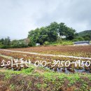 소이공인중개사사무소 이미지