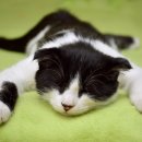 공간놀이 이미지