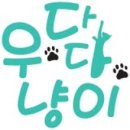 우다다냥이 네이버블로그