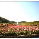 차실마을회관 이미지