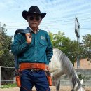 카우보이 이미지