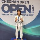 아우내실내체육관 이미지