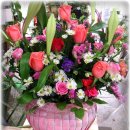 지노메디 이미지