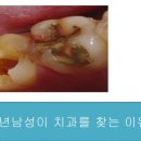 어울림숲연구소 네이버블로그