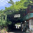엄마손눈꽃팥빙수단팥죽 | 부산 광안리 남천녹차팥빙수 단팥죽 메뉴 가격 및 이색적인 숲속 분위기 내돈내산 후기