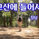 광교산에 들어서니 / 이수기 이미지