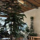 문형산길 | [경기 광주] 숲속 오두막의 여유, 신현리 브런치카페 '카페슈샤' 방문후기