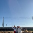 해반천 | 김해 해반천 러닝 후 크레파스 카페 후기