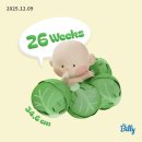 덕산(179) | 26주차 임신일기:안면도 2박3일 태교여행 [아일랜드 리솜]