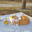 시나의두시피크닉 네이버블로그
