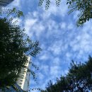 다복장 여관 이미지