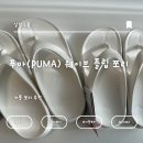 내 돈 내산 커플 쪼리 추천 푸마(PUMA) 웨이브 플립 쪼리 솔직 후기 및 사이즈 팁
