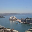 오페라의 뜰 1 | 10.19 시드니 여행 1 -(마티나라운지 샤워실...팬케익온더록스, 오페라하우스, 하버브릿지, 오페라바)