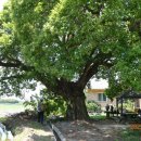 함라초등학교 이미지