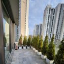 판교디앤써밋공인중개사사무소 | [공지] 석양이 너무 예쁜 판교SK뷰테라스 104동 2층을 소개합니다. (거실테라스, 방3, 화2, 특급...