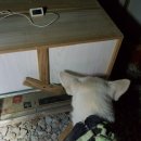 백봉호텔 이미지