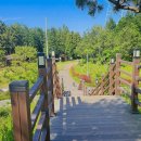 편백산림욕장 진입로 이미지