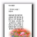 쭈꾸미사랑 Daum카페